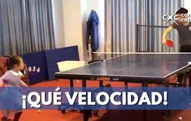 ping-pong