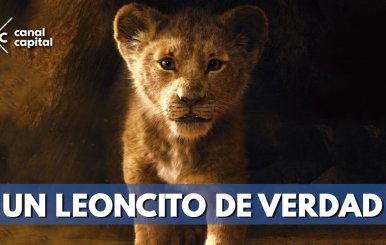 trailer-el-rey-leon