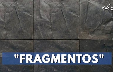 Fragmentos