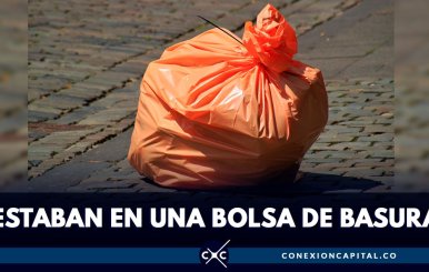 anmales-muertos-bolsa-basura