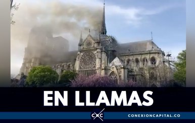 catedral-paris-llamas