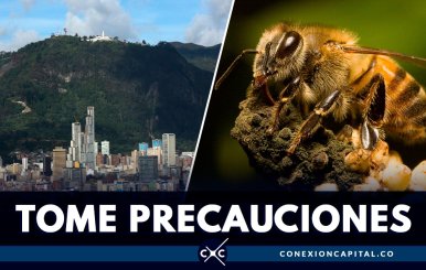 ataques-abejas-bogota