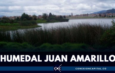 Humedal Juan Amarillo