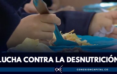 Lucha-Desnutrición