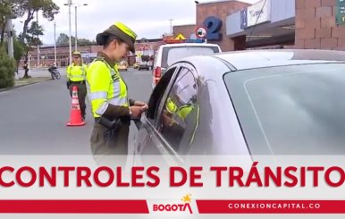 Operativos contra transporte ilegal