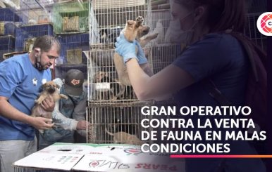 Gran operativo contra maltrato animal en Plaza El Restrepo