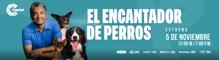 Banner principal: El encantador de perros - Mobile