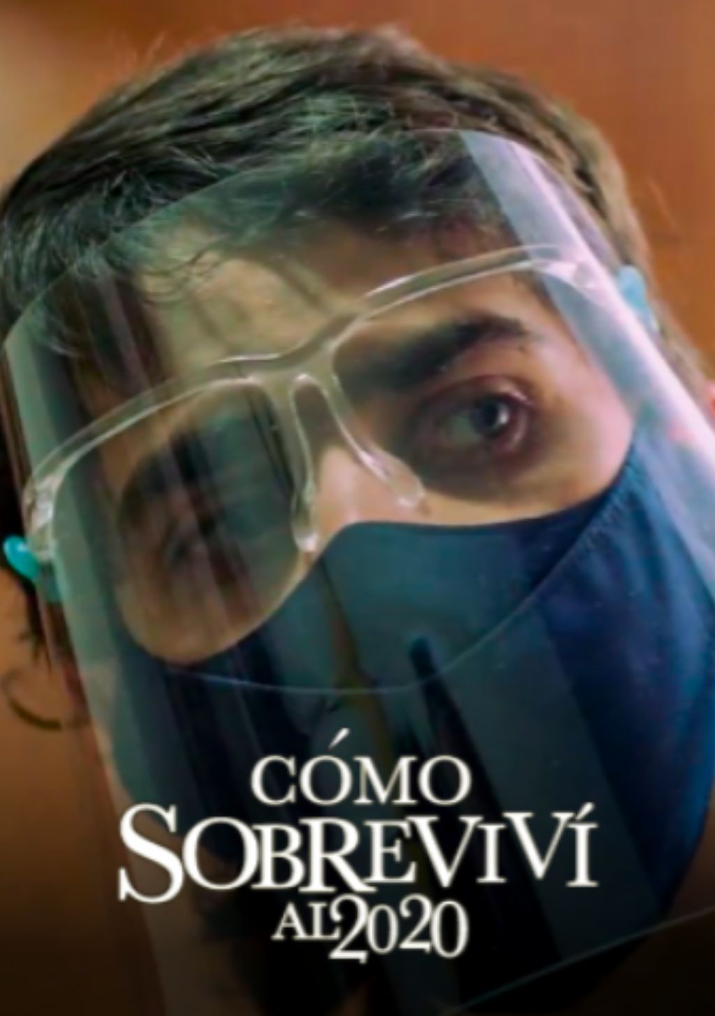 Póster Cómo sobreviví al 2020