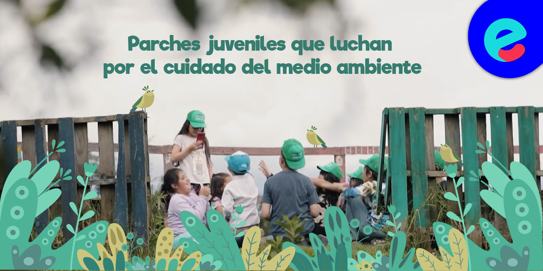 Organizaciones juveniles por el cuidado del medio ambiente