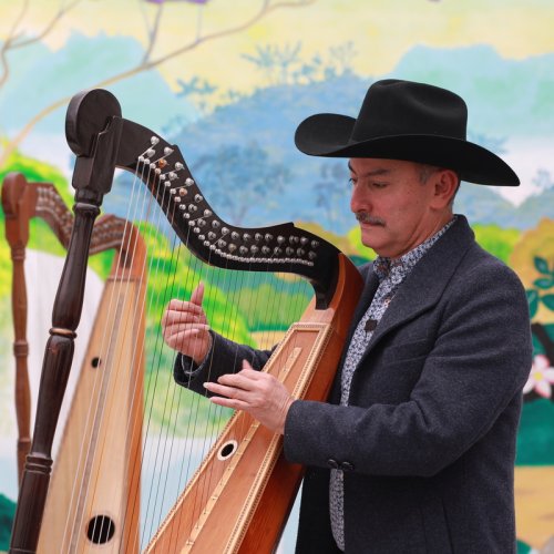 Hombre tocando el arpa llanera 