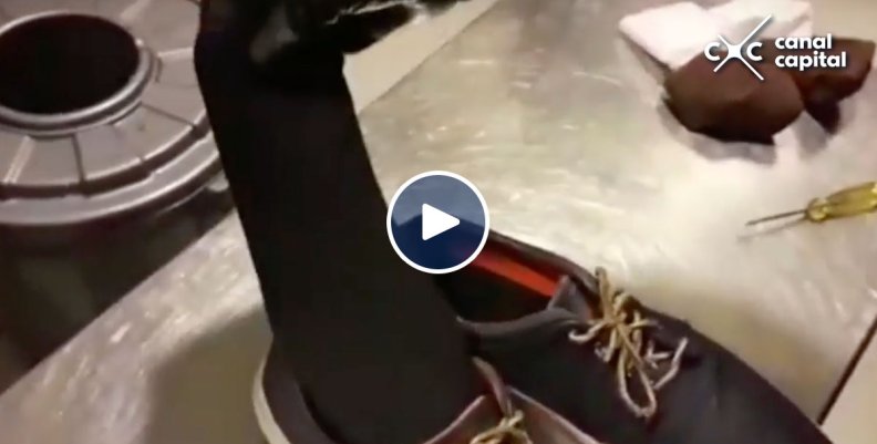 Capturados dos ciudadanos españoles con droga en sus zapatos en El Dorado Capturados dos ciudadanos españoles con droga en sus zapatos en El Dorado