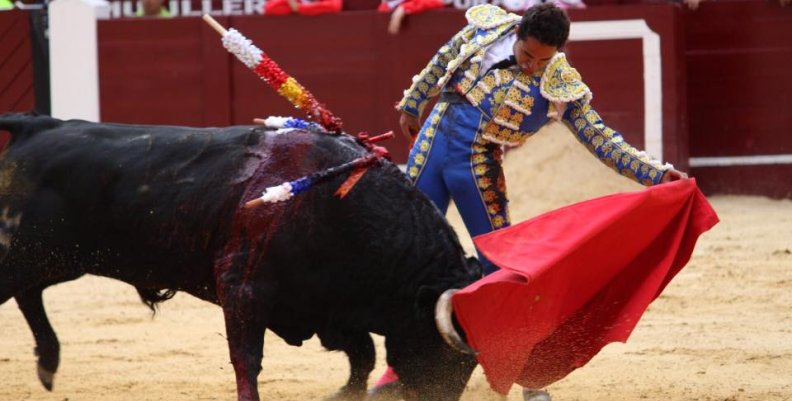 16473690_731081543722351_994339929346540609_n 16473690_731081543722351_994339929346540609_n