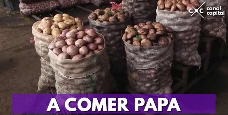 Los seis tipos de papa que se pueden encontrar en Bogotá