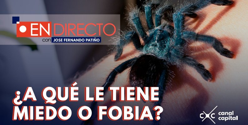 ¿Cómo superar las fobias o temores?