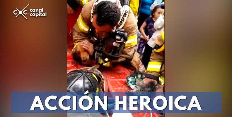 Bomberos le salvan la vida a dos perros en un incendio Bomberos le salvan la vida a dos perros en un incendio
