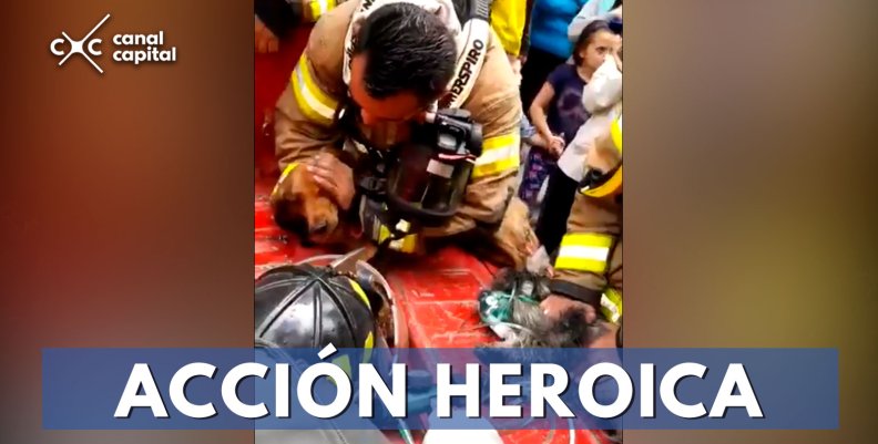 Bomberos le salvan la vida a dos perros en un incendio