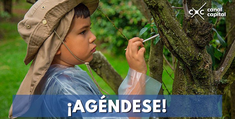 Vacaciones científicas en el Jardín Botánico de Bogotá