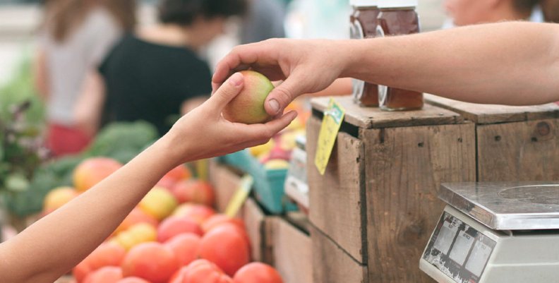 Alimentos