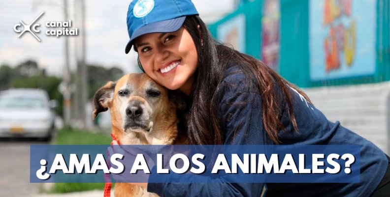 ¿AMAS-A-LOS-ANIMALES-