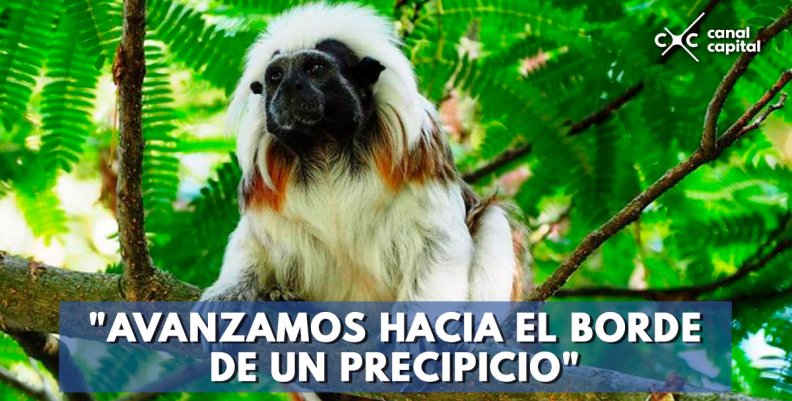 Avanzamos-hacia-el-borde-de-un-precipicio Avanzamos-hacia-el-borde-de-un-precipicio
