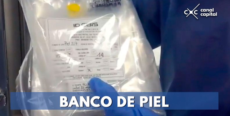Banco Distrital de Tejidos, el más grande de Latinoamérica Banco Distrital de Tejidos, el más grande de Latinoamérica