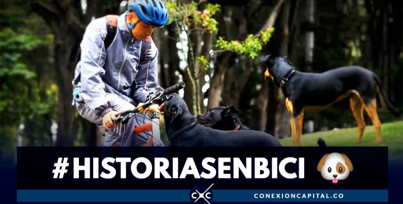 Así trabaja un paseador de perros en bici