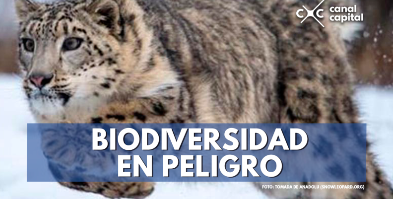 biodiversidad (1) biodiversidad (1)
