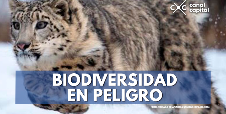 biodiversidad (1)