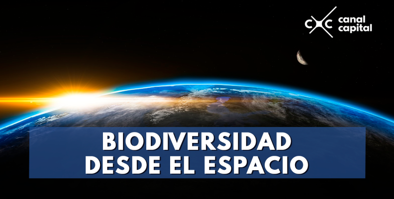 biodiversidad