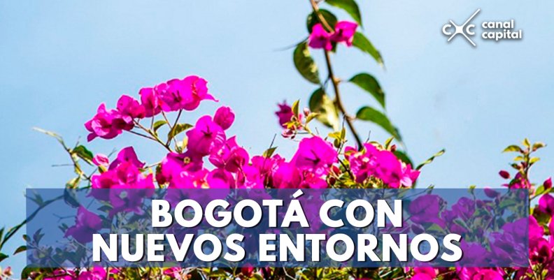 BOGOTÁ-CON-NUEVOS-ENTORNOS (1)