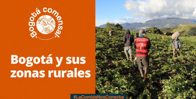 Bogotá Comensal Bogotá Comensal
