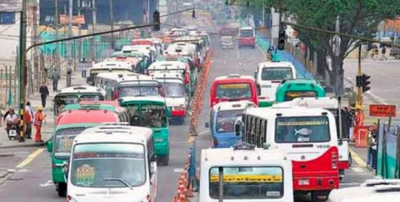buses buses