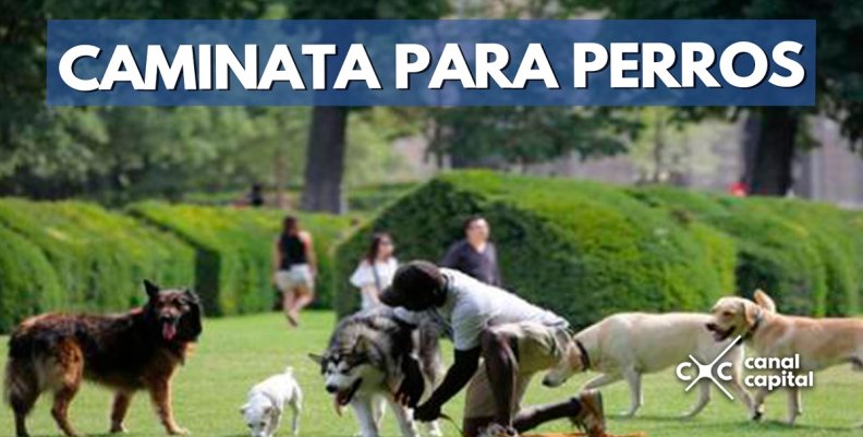 CAMINATA-PERROS