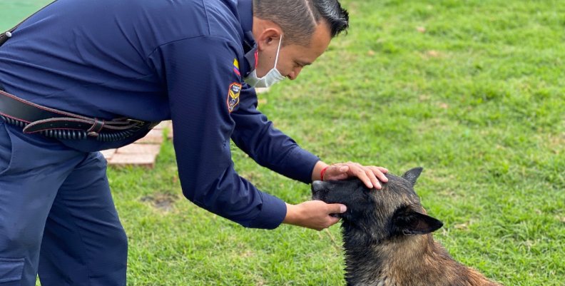 Centro de entrenamiento canino.