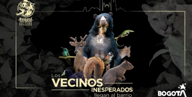 Vecinos Inesperados