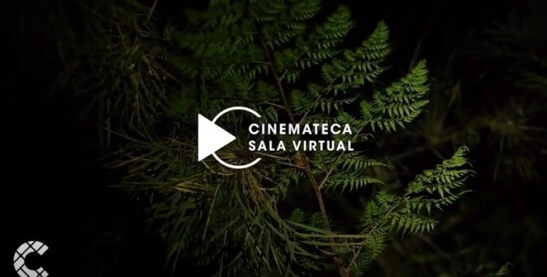 Cinemateca