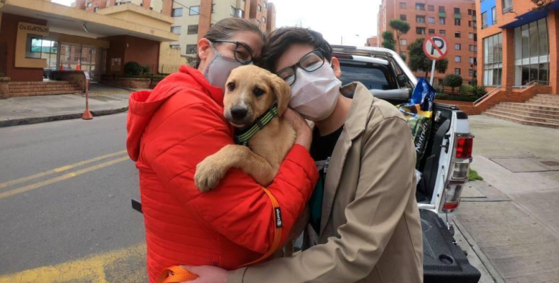 Inició la IX semana de Protección y Bienestar Animal