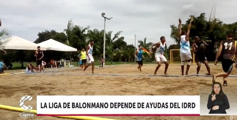 Liga de Balonmano