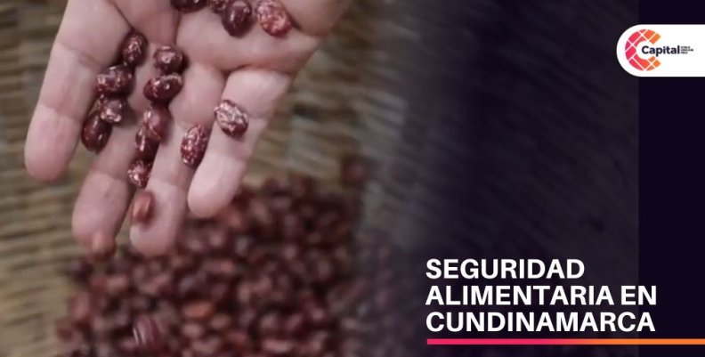 Seguridad Alimentaria en Cundinamarca Seguridad Alimentaria en Cundinamarca