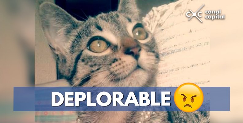 DEPLORABLE