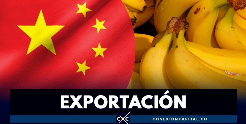 Acuerdo permitirá exportar banano colombiano al mercado chino