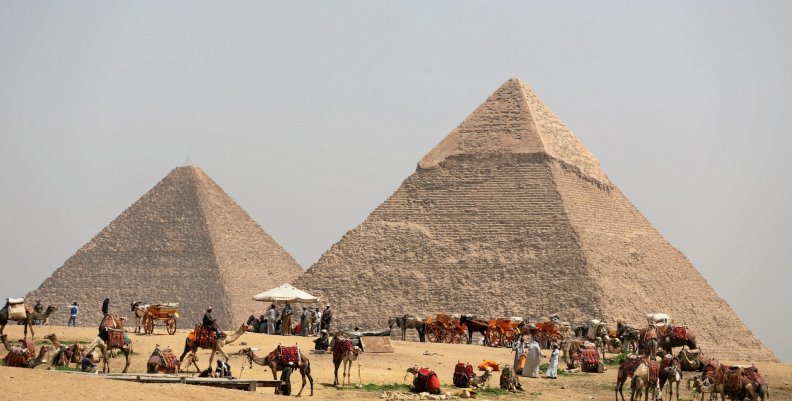 FILE PHOTO: A group of camels and horses stand idle in front of the Great Pyramids awaiting tourists in Giza