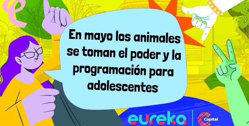 Franja3 Franja3