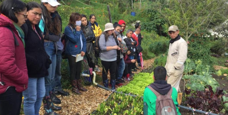 Grados diplomado - Jardín Botánico