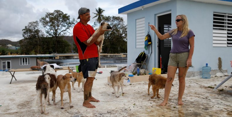 Harasimowicz talks to her husband while he carries one of their dogs on the roof of a neighbor's house after the area was hit by Hurricane Maria in Yauco