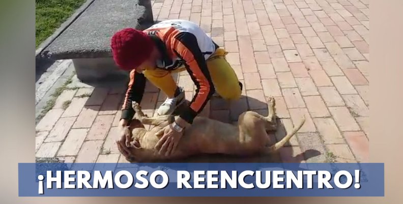 ¡Hermoso-reencuentro! ¡Hermoso-reencuentro!