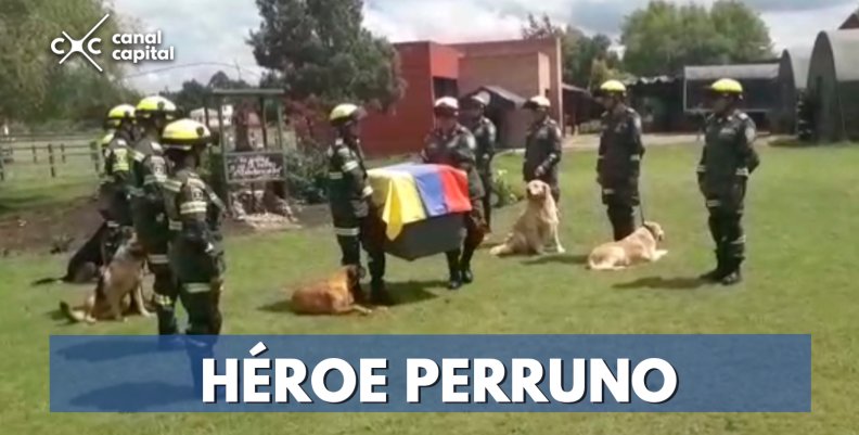 Policía rinde homenaje a perro rescatista