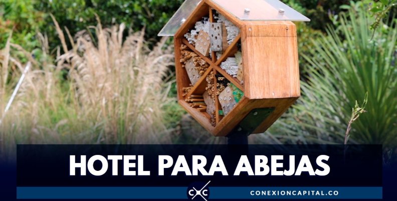 Hoteles para abejas en el Jardín Botánico