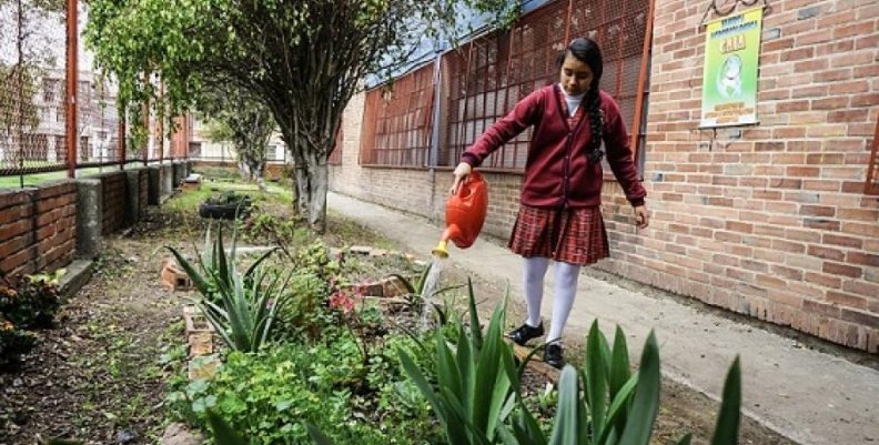 huerta escolar huerta escolar