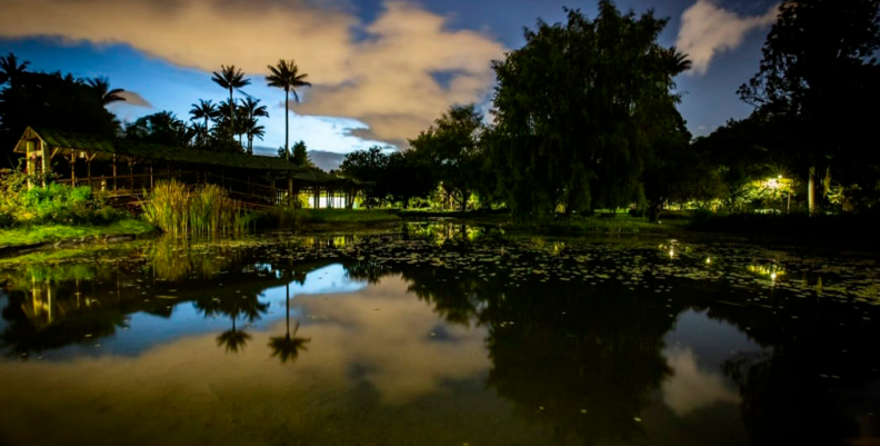 JARDÍN BOTÁNICO JARDÍN BOTÁNICO